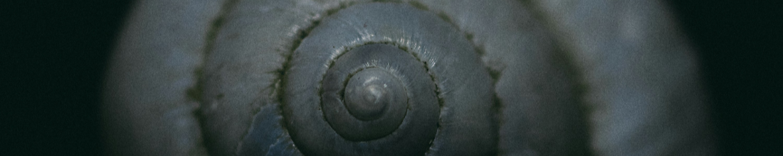 Down Street. Please Knock.