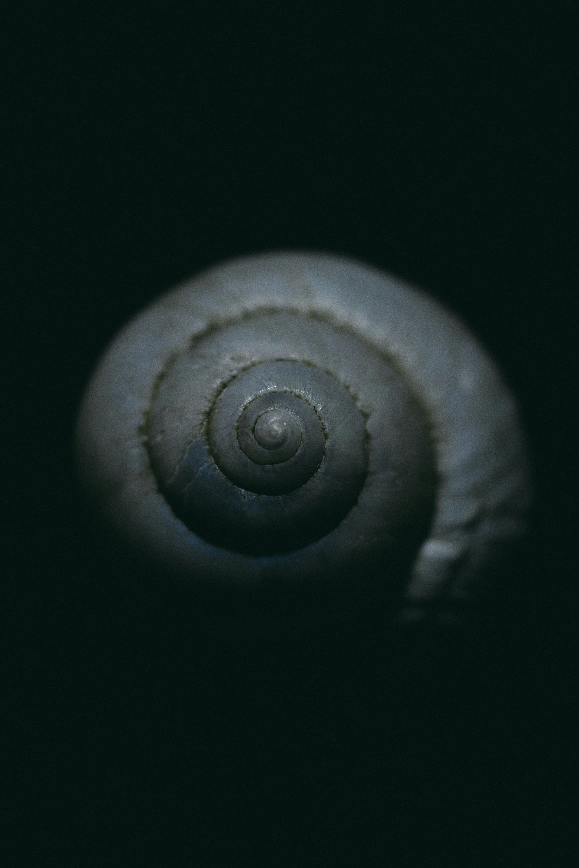 Down Street. Please Knock.